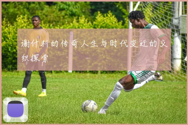 谢什科的传奇人生与时代变迁的交织探索