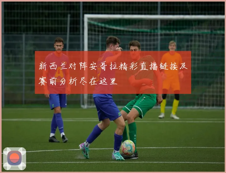 新西兰对阵安哥拉精彩直播链接及赛前分析尽在这里