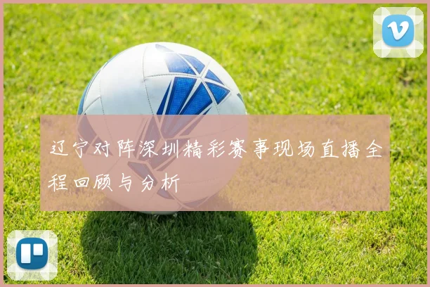 辽宁对阵深圳精彩赛事现场直播全程回顾与分析