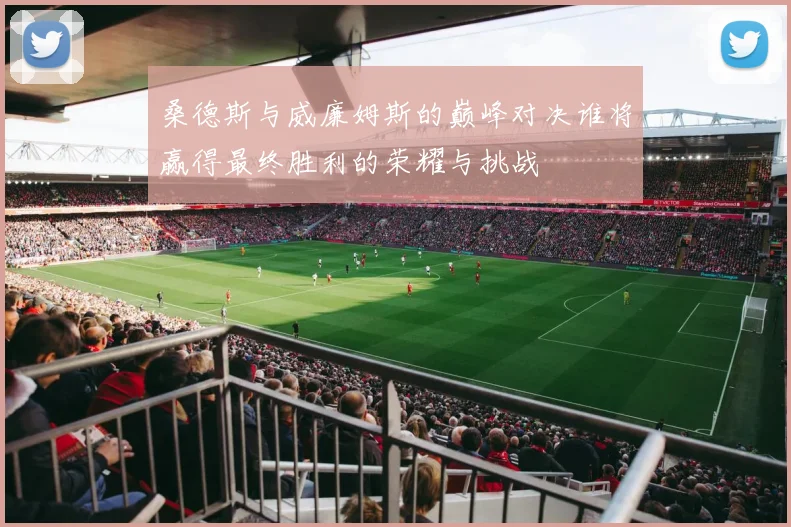 桑德斯与威廉姆斯的巅峰对决谁将赢得最终胜利的荣耀与挑战